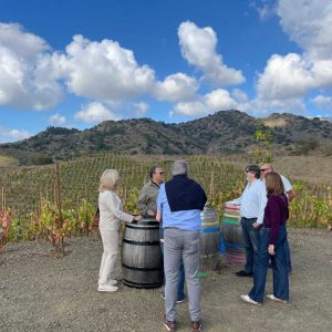 Grup de persones des del mirador de Terres de Vidalba gaudint de l'activitat d'enoturisme Tast entre vinyes