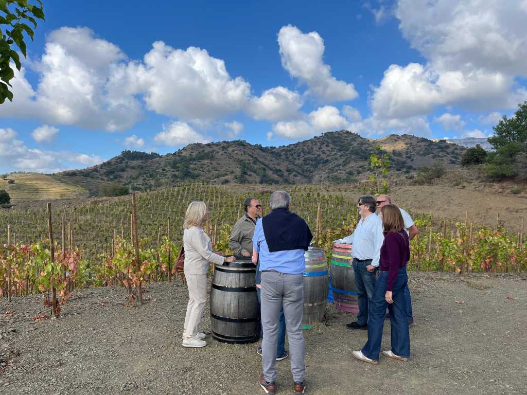 Grup de persones des del mirador de Terres de Vidalba gaudint de l'activitat d'enoturisme Tast entre vinyes