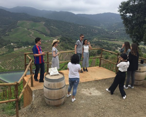 Grup de persones des del mirador de Terres de Vidalba gaudint de l'activitat d'enoturisme Tast entre vinyes