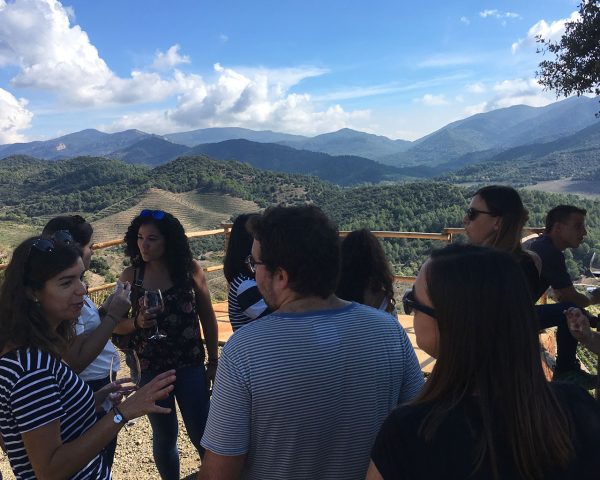 Grup de persones des del mirador de Terres de Vidalba gaudint de l'activitat d'enoturisme Tast entre vinyes