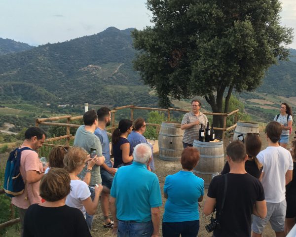 Grup de persones des del mirador de Terres de Vidalba gaudint de l'activitat d'enoturisme Tast entre vinyes
