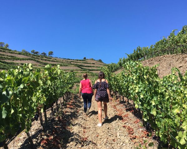Dues noies caminant entre les vinyes de Terres de Vidalba