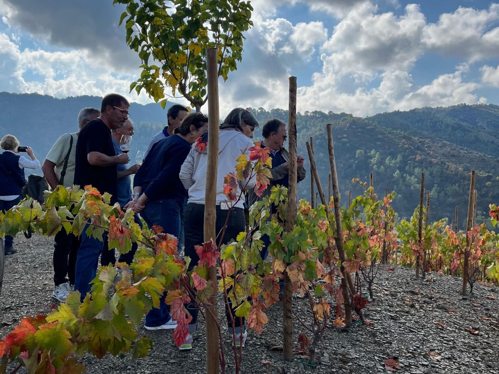 Grup de persones durant l'activitat d'enoturisme Tast de Vinyes a Terres de Vidalba.